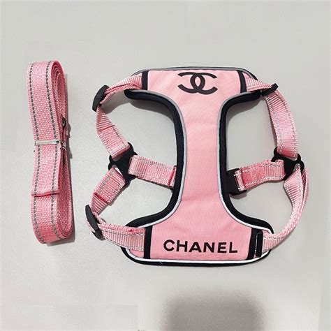 coco chanel for dogs|Coco Chanel dog accessories.